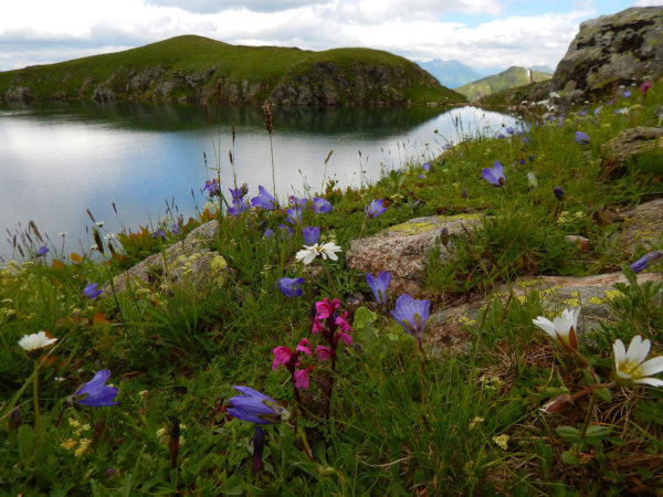 В горах Сочи экспедиция обнаружила новое озеро