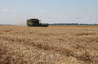 Первый миллион тонн пшеницы